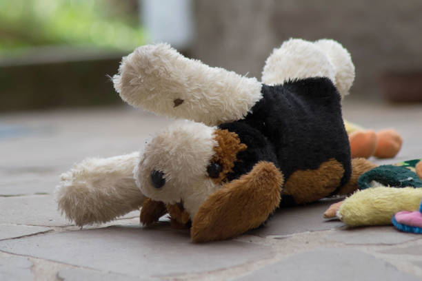 istock toy dog thrown on the floor 1477784160