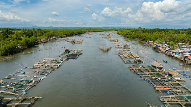 istock Fishing village near the river. 1477788548