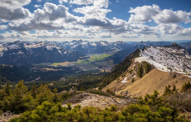 istock Picturesque mountain range with snow-capped peaks and a dense pine forest below, Austria 1477795426