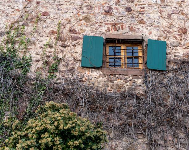 istock Low angle of an old castle window with green shutters and old brickwork 1477795666