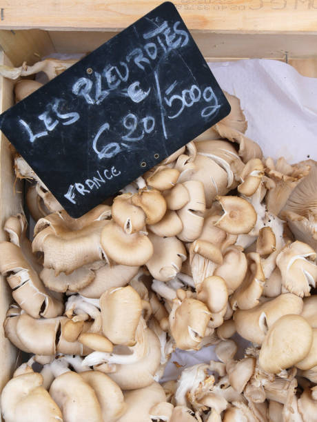 primer plano de setas ostra en una caja de madera - vertical meadow mushroom vegetable fotografías e im�ágenes de stock