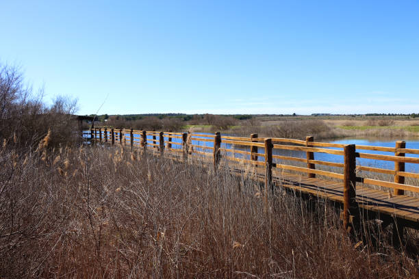 istock Lake Vrana Promenade 1477805022