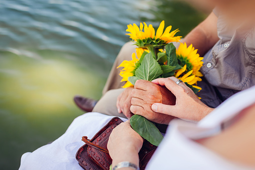 Senior family couple holding hands relaxing by summer river. Woman holding bouquet of sunflowers. Close up. Romantic date