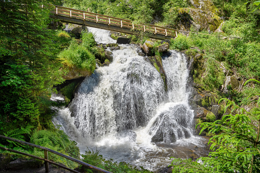 Waterfall with wooden bridge - part of Triberg Waterfalls in summer in Triberg, Black Forest, Germany
