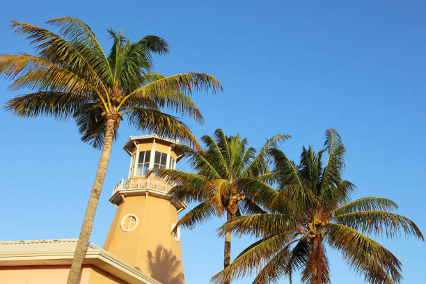 Lighthouse and coconut palm trees on blue sky background