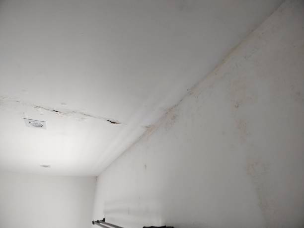 Slab with infiltration, leaking ceiling, leaking rain at home stock photo