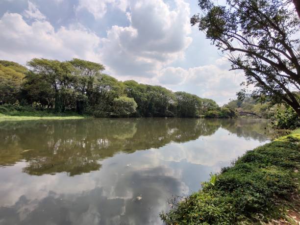 lake with trees around under cloudy sky stock photo