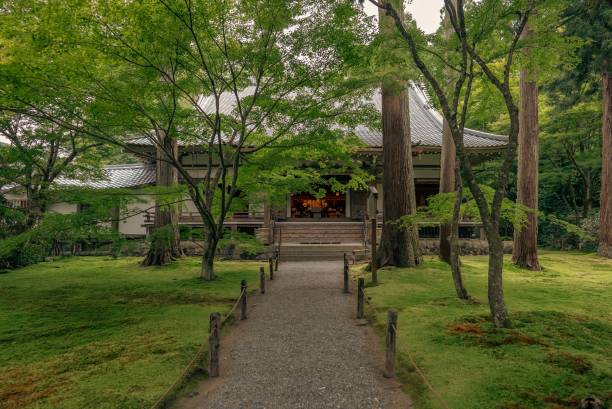 istock path lined with walkway and green grass leading to a pavilion 1477809737