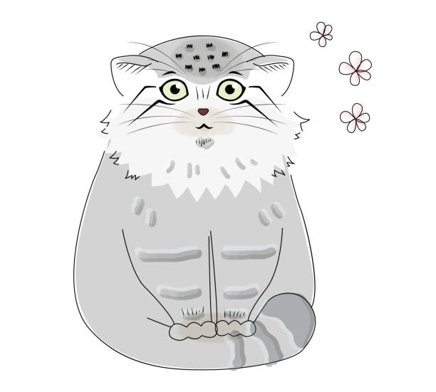 ilustraciones, imágenes clip art, dibujos animados e iconos de stock de este es un gato manul feliz pisando su cola gorda y caliente para mantenerse caliente. - almohadillas pata de animal