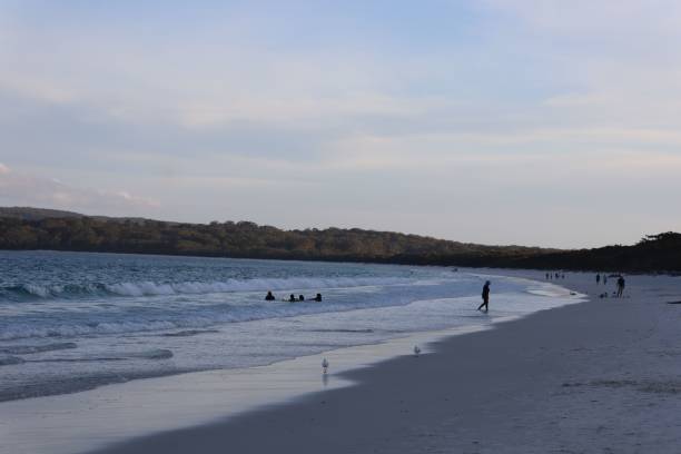 istock Group of people enjoying a day at the sandy beach 1477811165