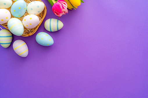 Overhead view of painted Easter eggs and a tulip arranged at the top left of a purple background. Copy space. High resolution 42Mp studio digital capture taken with Sony A7rII and Zeiss Batis 40mm F2.0 CF lens
