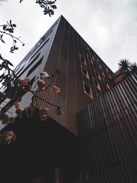 A vertical low angle shot of a modern dark building near tree branches