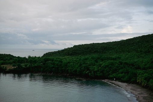 A beautiful view of the tranquil ocean surrounded by trees under a cloudy sky