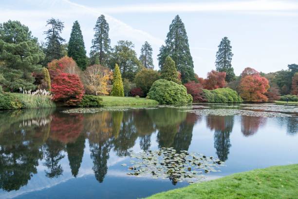 istock Tranquil lake reflects a lush tree line, creating a peaceful scene 1477814484