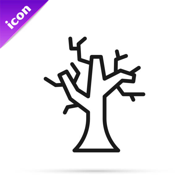 ilustrações de stock, clip art, desenhos animados e ícones de black line withered tree icon isolated on white background. bare tree. dead tree silhouette. vector - abstract autumn bare tree empty