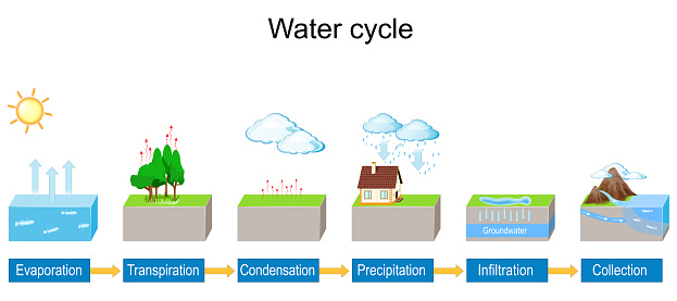 Water cycle. detailed explanation infographic. Vector diagram. Hydrologic landscape. Geography school scheme. Illustration for education use