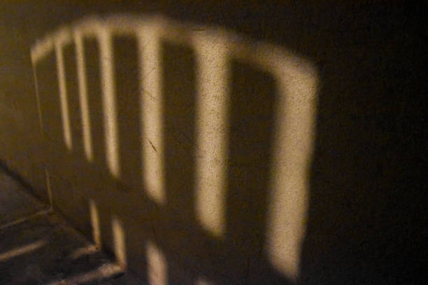 a shadow of a fence seen on a rough wall.