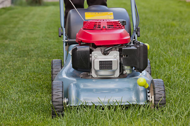 istock Lawn mower, Mowing the grass 147781861