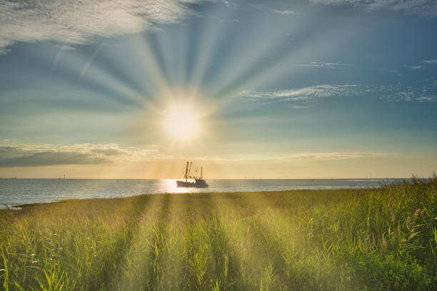 last sunrays on the north sea coast germany