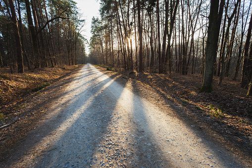 Road with evening sunlight. Retro colors.