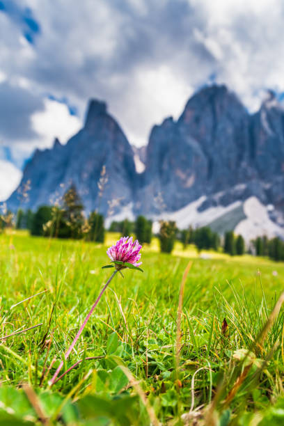 Clouds and sky of clouds that get caught on the peaks of the Odle. Wonder of the Dolomites.