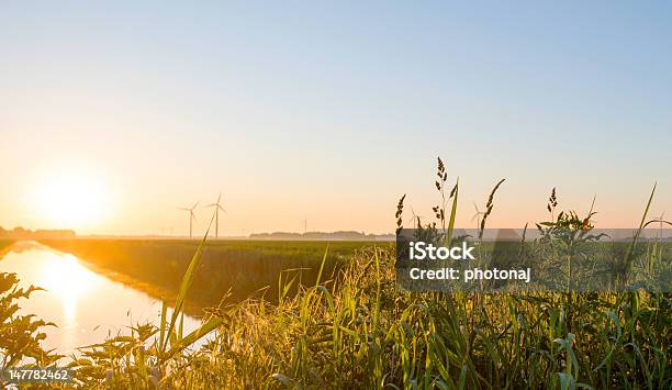 Dawn Über Einen Kanal In Den Frühling Stockfoto und mehr Bilder von Baum - Baum, Blau, Energieindustrie