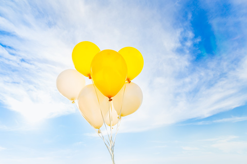 Bouquet of yellow and white balloons on blue sky, concept of celebration, gift.