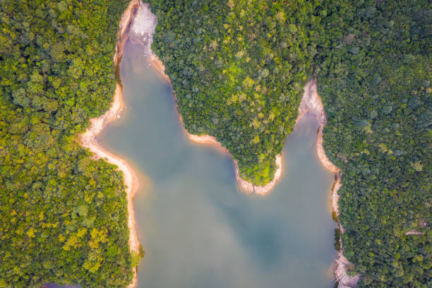 istock Wong Nai Chung Reservoir 1477827475
