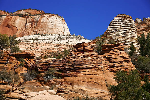 istock Zion National Park, Utah, USA 147782834
