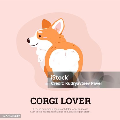istock Funny corgi butt, poster template - cartoon flat vector illustration. 1477828439