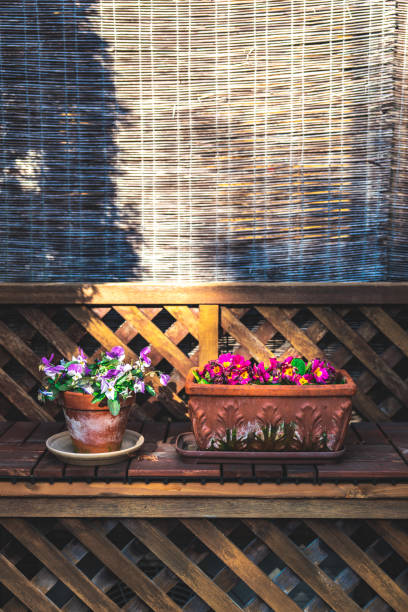 istock Wooden house and flowerpot 1477830657