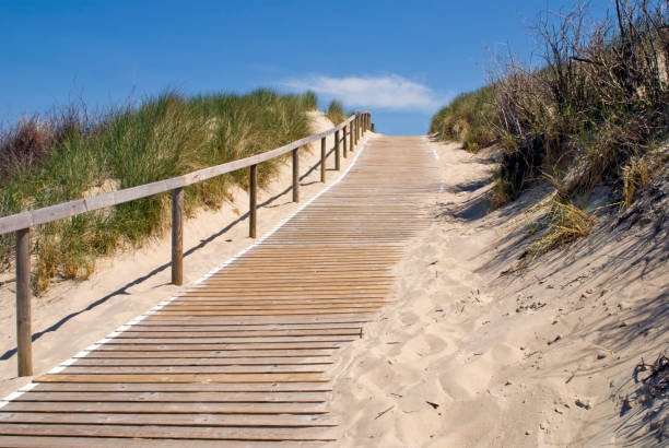 A romantic trail on a beach leads to a calm sea amid tranquility and pristine environment at sunset conveying the idea of a life journey, mission and achievement concepts. Path to success illustration