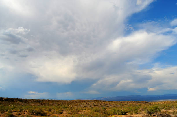 istock Storm Clouds Sonora Desert Arizona 1477833058