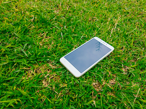 a cell phone lying on the fresh green grass, accompanied by bright colors