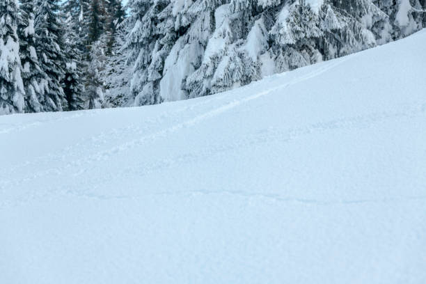 Magical atmosphere of snow and ice in Sappada, as it prepares to fall in the evening.