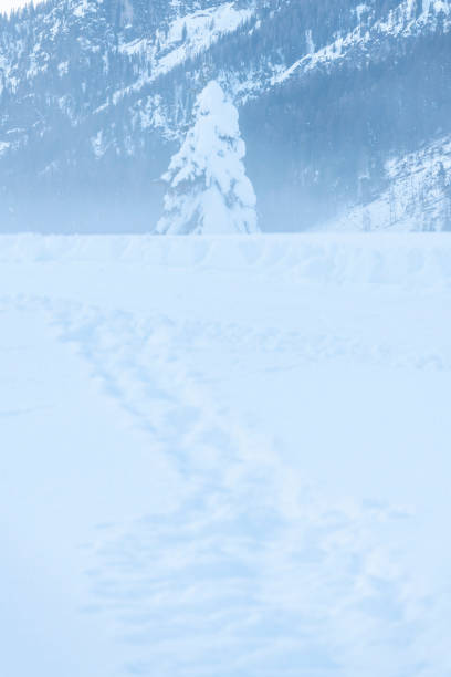 istock Snow in Sappada at sunset. Friuli. 1477835331