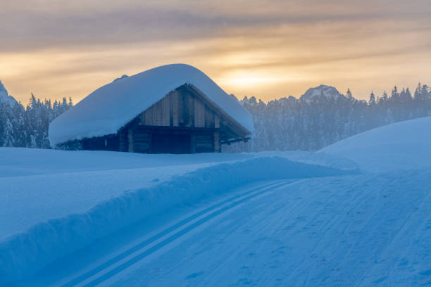 istock Snow in Sappada at sunset. Friuli. 1477835377