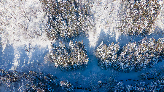 Winter landscape with forest and snow from above from a drone in Otari, Nagano, Japan\n36 46.470973N, 137 53.447348E