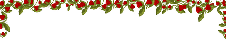 Spring horizontal frame with raspberries and leaves. Summer vector banner isolated white background cartoon style.