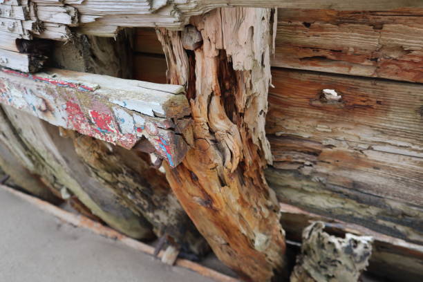 Old weathered wood from shipwreck on beach, abstract wooden material been worn and decayed by environment and water at the beach to be rough and damaged and cracked, artistic texture