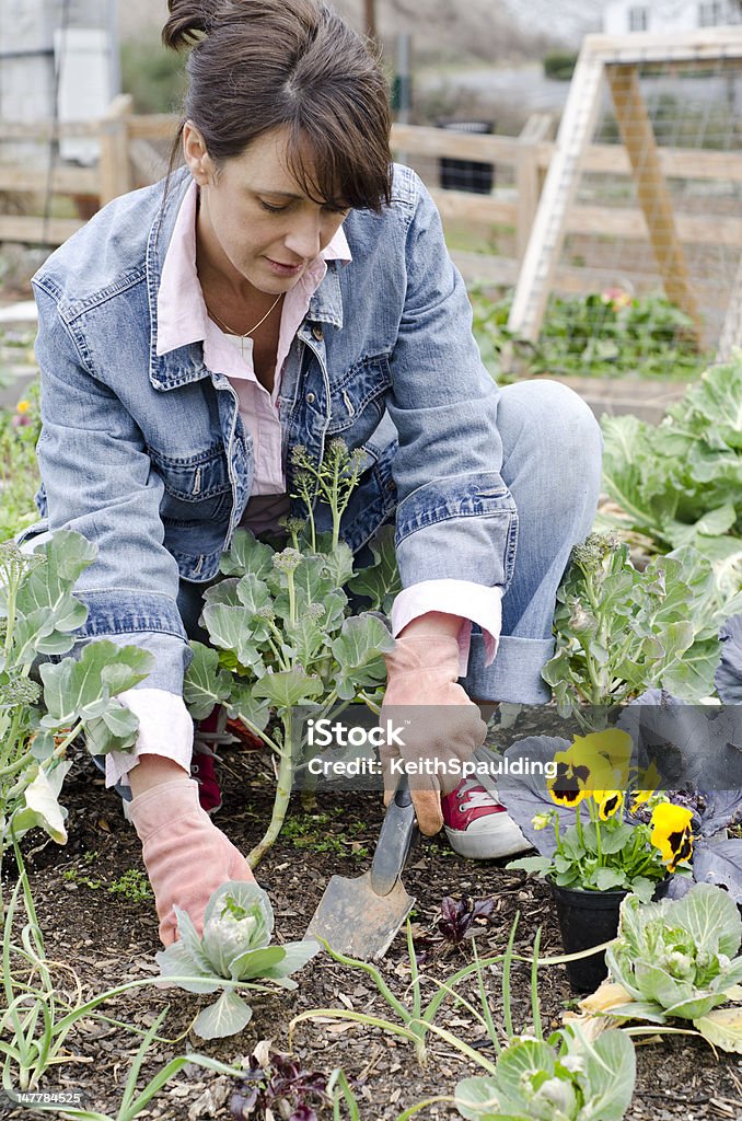 Dig It woman gardener prepares the soil to plant flowers Adult Stock Photo