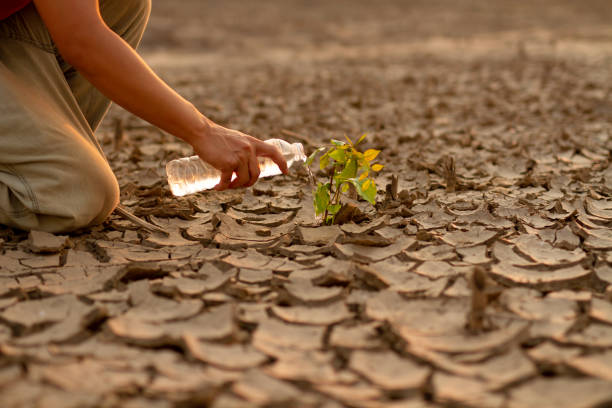 rozwiązanie problemu suszy i zmian klimatycznych - scarcity water people land zdjęcia i obrazy z banku zdjęć