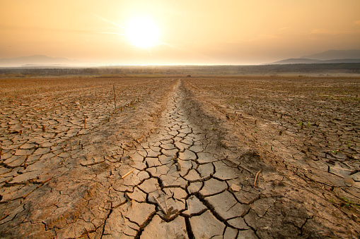 Sequía y crisis del agua photo