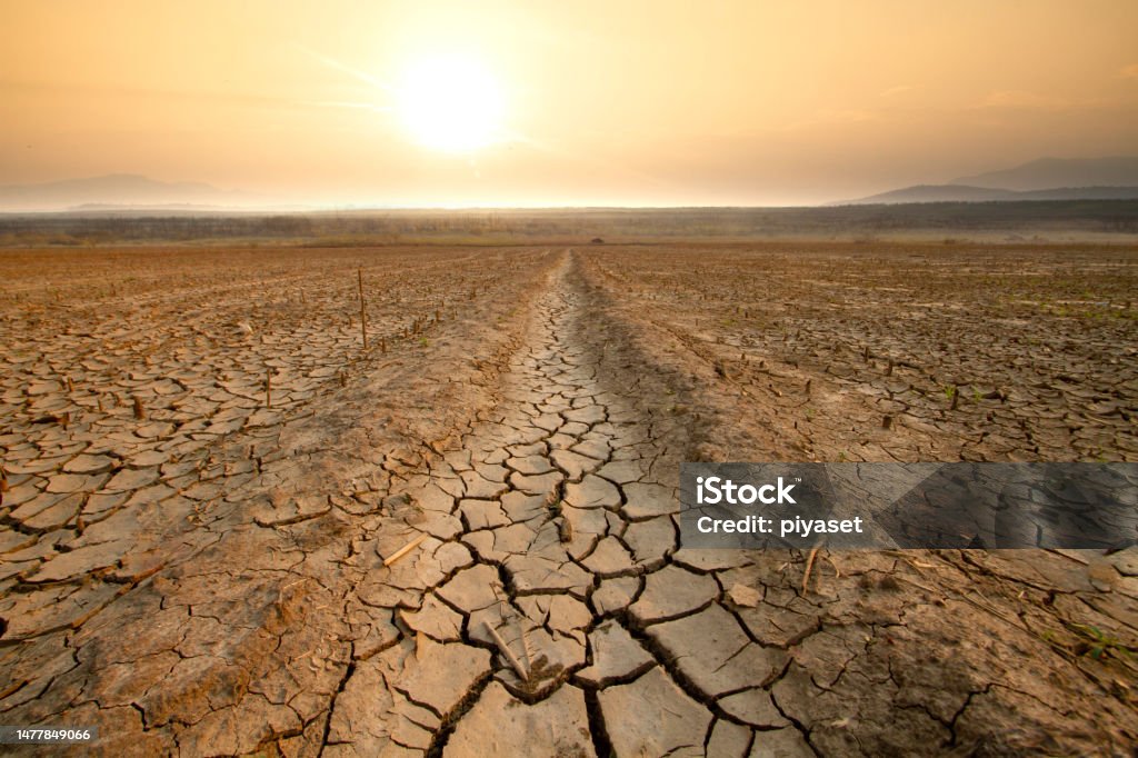 Drought and Water crisis Canal middle agricultural dry by drought and heatwave on summer. water crisis and water stress on summer during long term drought on summer. Climate Change Stock Photo