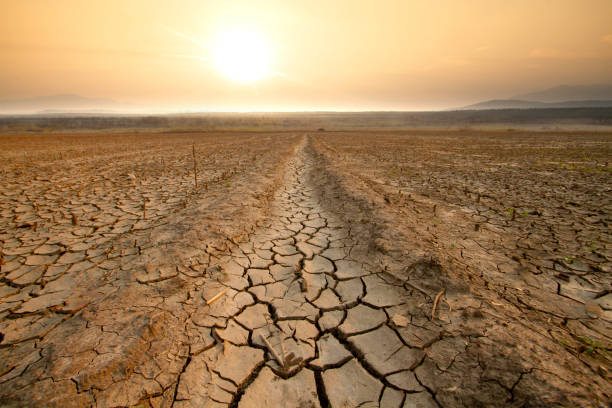 Drought and Water crisis Canal middle agricultural dry by drought and heatwave on summer. water crisis and water stress on summer during long term drought on summer. dry stock pictures, royalty-free photos & images