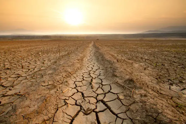 Photo of Drought and Water crisis