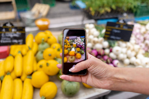 istock Photographing The Local Produce 1477849259