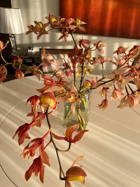 istock Orchid petals and buds in a vase 1477851558