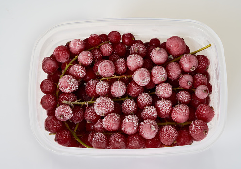 red currant berries are in the freezer