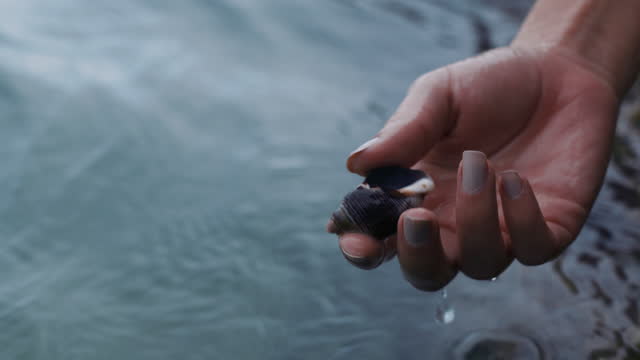 close up woman hands holding seashell taking shell out of ocean water